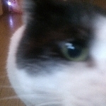 okaso