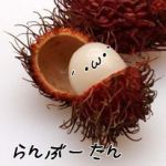 らそぶーたん