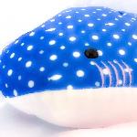ぁぉ
