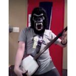 gorilla