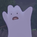 userPhoto