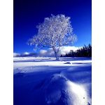 aion