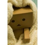 ぼん