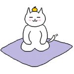 ざくろ猫