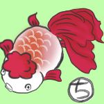 まるち