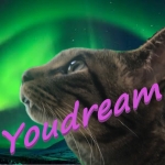youdream