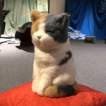 まさよし