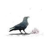 .コギト