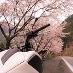 userPhoto