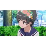 ふみん