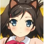 銀の猫缶