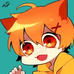ハチコロ