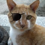 ののん