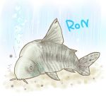 ＲｏＮ