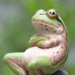 どろ