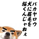 わしゅう