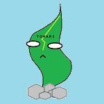 隣のワカメ