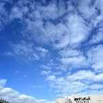 userPhoto