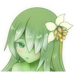 クスノキ