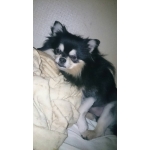 userPhoto