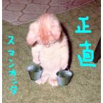 べにと