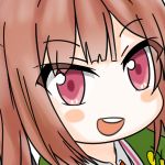 ブービックキューブ