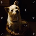 userPhoto