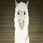 アルパカ