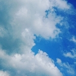 userPhoto
