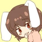 ズッキーモ