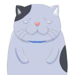 ネコ家ナギ