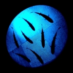 Aribay