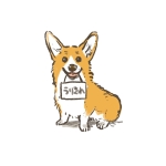 ユーザー画像