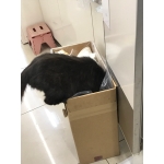 ユーザー画像