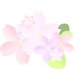 澪葉