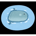 さはな
