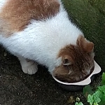 導師。