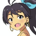はいさーい