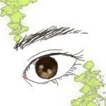 望月　るり