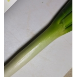 あくるひ