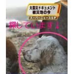 みぃ