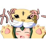 QMA_FUMI