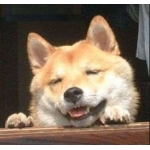かっつん
