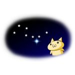 userPhoto