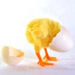 みきはる