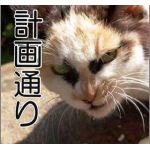 ユーザー画像