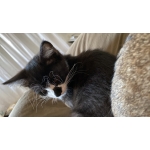 userPhoto