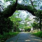風のウィン/windyway