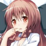 鯖の娘