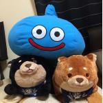 消えたはむく